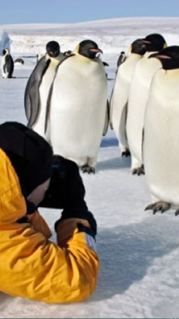 Antártica